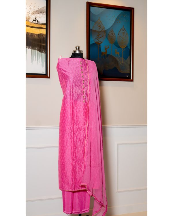Pink Blossom – Organza & Lucknowi Embroidered Ensemble