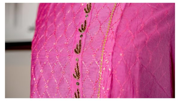 Pink Blossom – Organza & Lucknowi Embroidered Ensemble - Image 2
