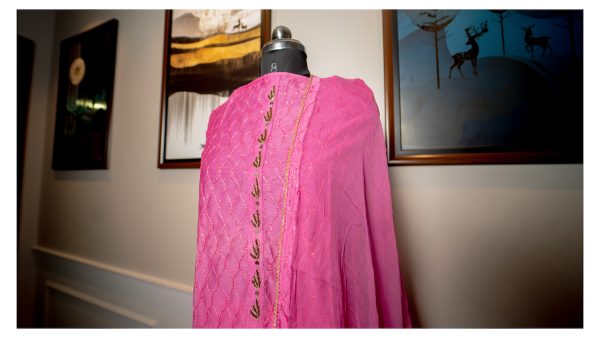 Pink Blossom – Organza & Lucknowi Embroidered Ensemble - Image 4