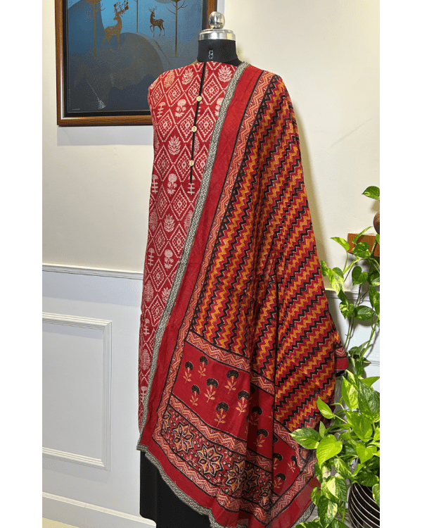 Rajwada Raga – Chanderi Cotton Heritage - Image 2